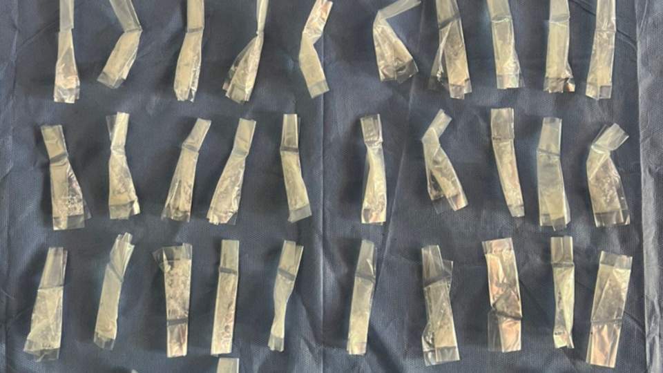 Unidad K-9 del Gobierno de Sonora asegura narcótico en Hermosillo